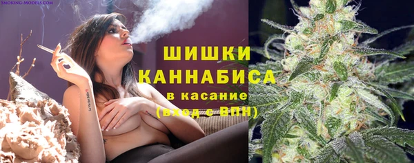 ешки Арсеньев