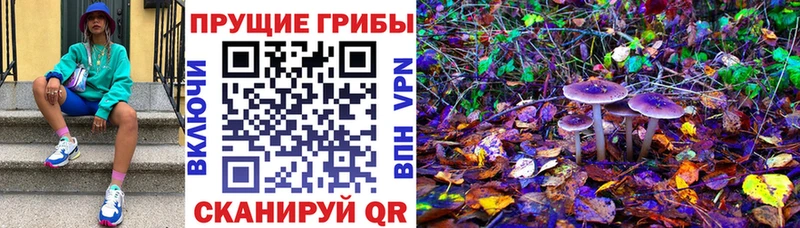 Галлюциногенные грибы ЛСД  Саров 